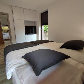 Apartament Szumi Las Kletno - Kletno - 9