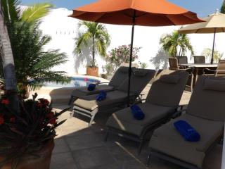 Beachfront PH Amara Ixtapa - 8