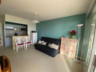 Appartement belle vue mer face à la Plage des Demoiselles - Saint-Hilaire-de-Riez - 8