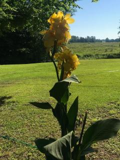 Park Villa Pärnu with sauna - 6