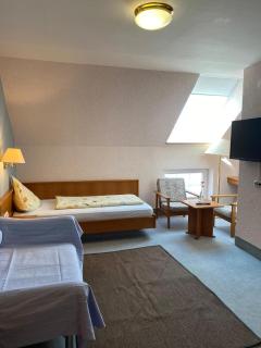 Hotel Weller - Riedstadt - 9