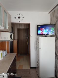 Modern Beach Apartment - Constança - 5