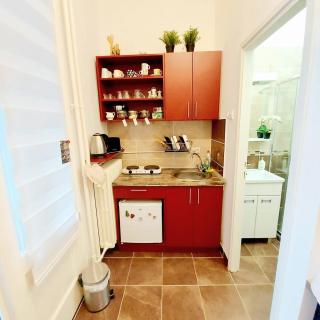 Apartment TRio - Novi Sad - 1