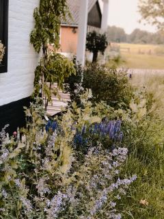 Boutique B&B Erve Hasselo - Vorden - 3