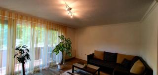 Bazsi Apartman - 7