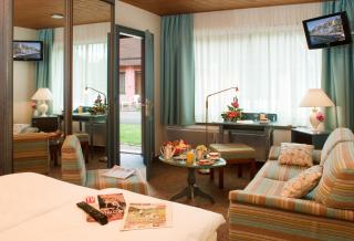 Logis Hostellerie Motel Au Bois Le Sire - Orbey - 8