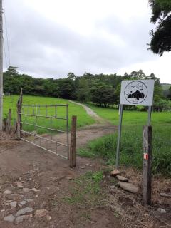 Campo Azul #2 - Monteverde - 9