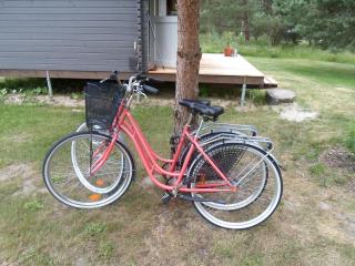 Tihase puhkemajake - Pärnu - 3