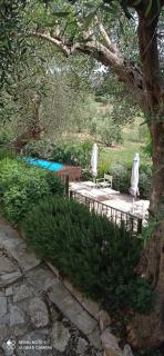 Amore a prima vista b&b - Campiglia Marittima - 8