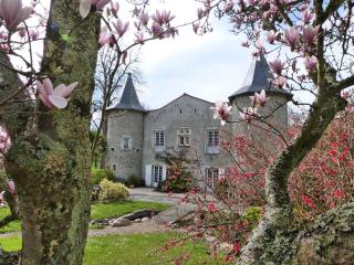 Château de Vidaussan - Labroquère - 5