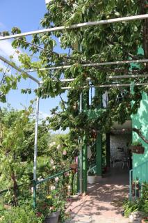 Summerhouse Marina - 4