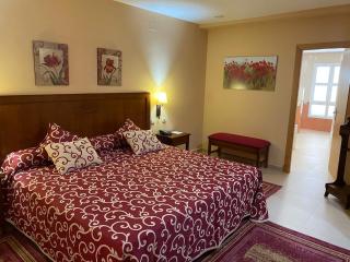 Gran Hotel Ciudad Del Sur - Puerto Real - 5