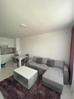 Holiday Apartment - Sokobanja - 4