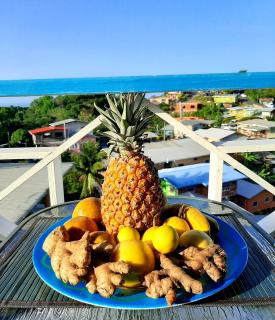 onelovecottagetobago holiday home - 2