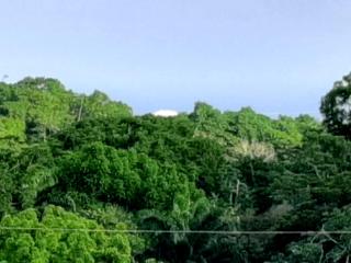 onelovecottagetobago holiday home - 1