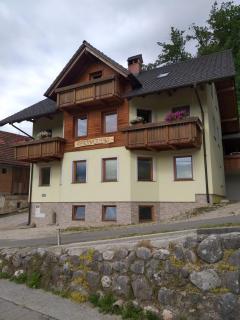 Apartmaji Maki - Bled - 1