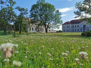 Herbarium Hotel & Spa - Gąsawa - 9