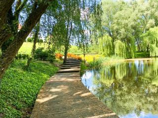 Herbarium Hotel & Spa - Gąsawa - 4
