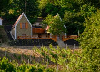 Edelin Wine House - Edelény - 6