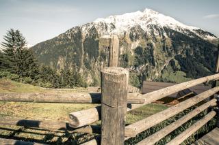 BRUGGER ApartHotel - Mayrhofen - 1