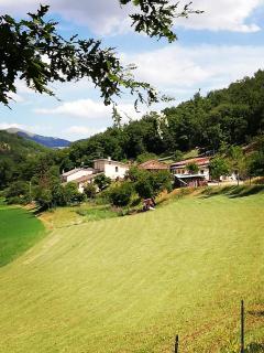 Agriturismo Casale Sant'Antonio - Cascia - 5
