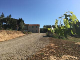 Agriturismo La Casina nel Vigneto - Larciano - 1