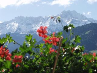 Gästehaus Lödermann - 7