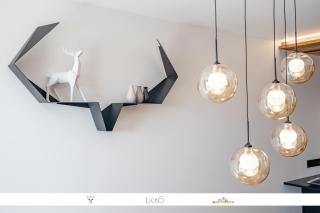 Marmotte 103 - Luxueux appartement aux pieds des pistes - 9