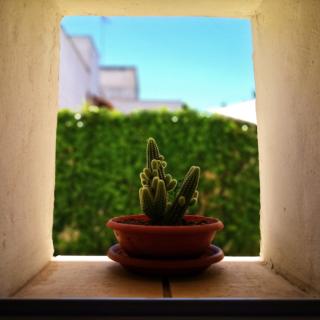 Le Strazzigne - Marittima - 7