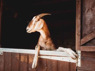 Stunning Large 4 Bed Country House with Hot tub - Pass the Keys - 2