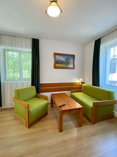 Edelweiss Central Hotel - 5