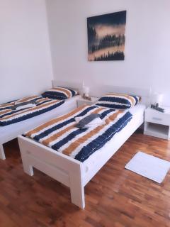 Apartman Peregrinus - 2