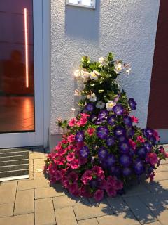 Ferienwohnungen am Feldrain - Gornau im Erzgebirge - Zschopau - 1
