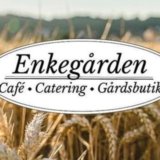 Enkegården Gårdshotell - Ängelholm - 0