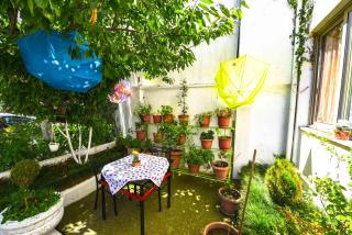 Lovely Apartment w/ AC + Bath. + Kitchen + Parking and Garden - 4