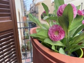 Casa Vetriera - Palermo - 2