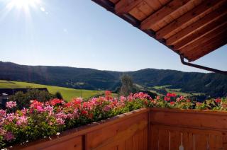 Ferienwohnung Mölten - Meltina - 0