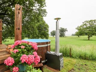 The Lazy Mare by The Water - Rugeley - 7