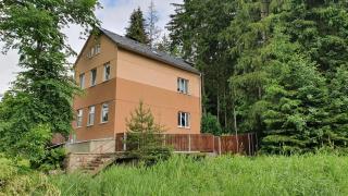 Lipno & Wellness Chata - Loučovice - 7