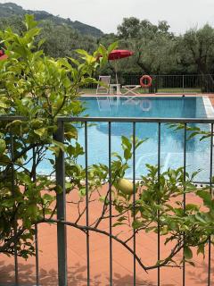 In Versilia - Seravezza - 0