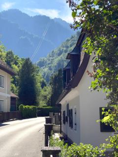 Katzerhaus Ebensee - Ebensee - 9