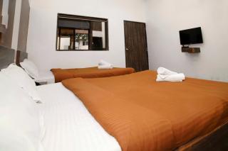 Hotel O Ambassador Hotel Panchgani - Panchgani - 4