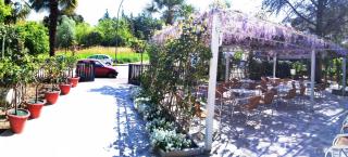 Hotel Prati - Castrocaro Terme - 9