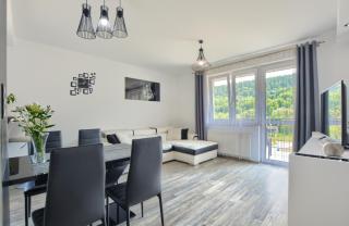 Apartament Glamour - Ustrzyki Dolne - 8