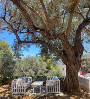 Filoxenia Studios - 6