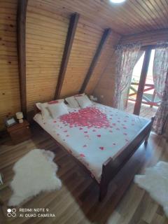 Charming Mountain House Zabljak - Žabljak - 1