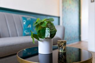 JANA HOUSE - HYPERCENTRE - GARE - NETFLIX - Tolosa - 4