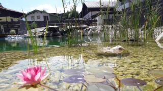 Alpine Appart - Bad Hofgastein - 9