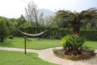 Villa Cycas Costamante - 1