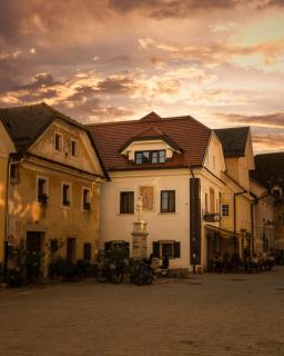 Hiša Linhart, Hotel & Restaurant - Radovljica - 2